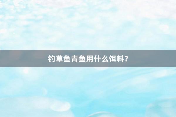 钓草鱼青鱼用什么饵料？